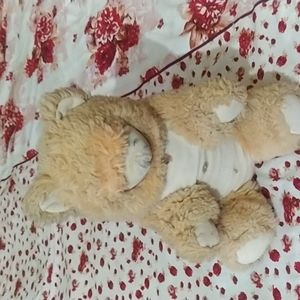 Bear tedy bear
